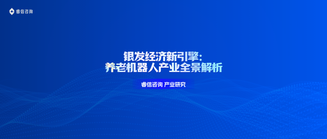 银发经济新引擎:养老机器人产业全景解析——睿信咨询战略研究报告