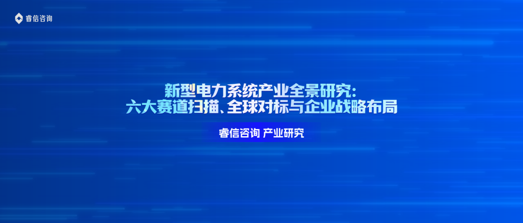 新型电力系统产业全景研究:六大赛道扫描、全球对标与企业战略布局——睿信咨询产业研究报告