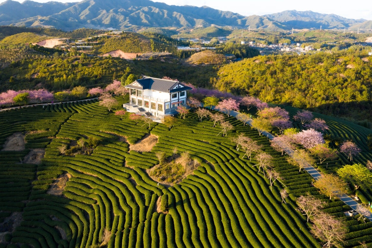 现代农业:拿了地、上了设备,为什么还是赚不到钱?